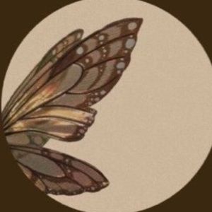 Meet your Posher, Areeba